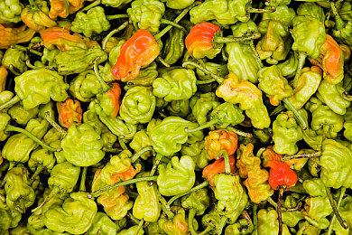 火星地下冒险！科幻生存向游戏《无光绝境》公布